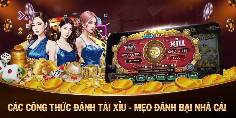 rikvip-Casino trực tuyến - Nơi may mắn và chiến thắng!